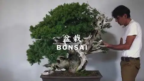 イントロダクション