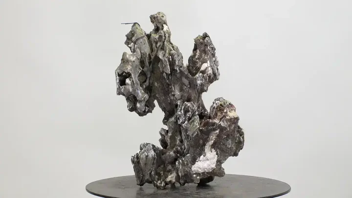 石付き盆栽 #1 小品真柏の完成イメージ