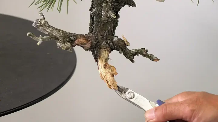 基本的な盆栽道具の使い方