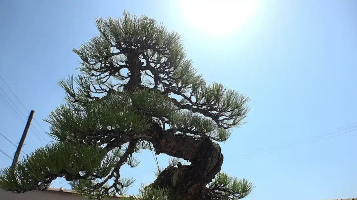 基礎管理の概要