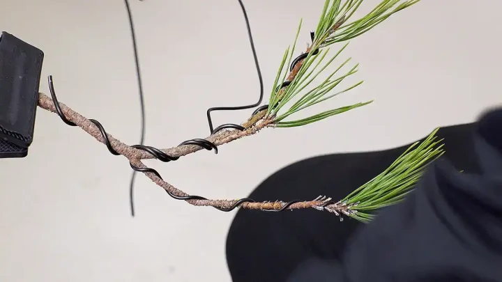 針金掛けの間隔