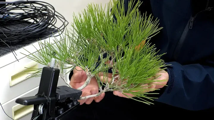 針金を巻く方向