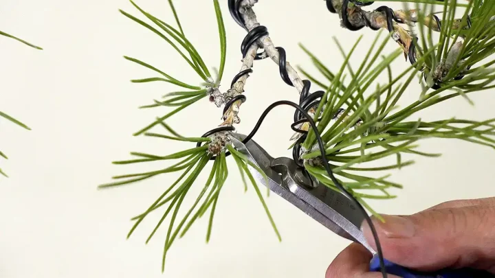 基本的な針金の掛け方