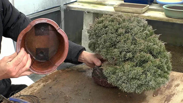 底網と盆栽を固定する針金の準備