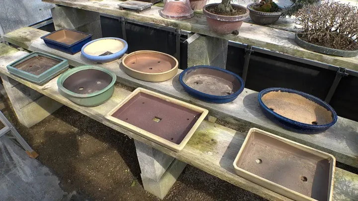 植え替えの鉢選びについて