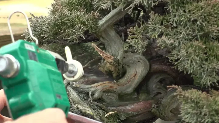 ジンとシャリ部分の洗い方