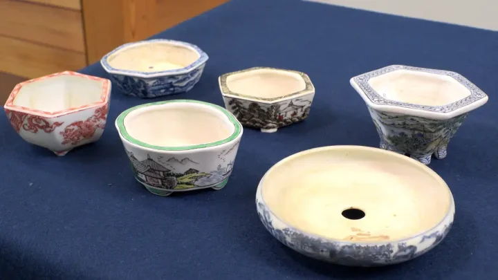 盆栽鉢 (色鉢) の種類 / 形状