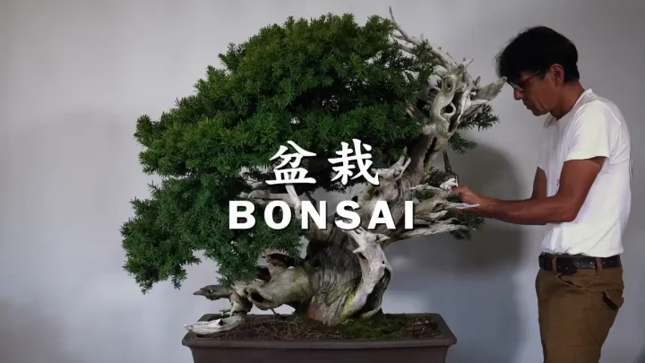 BONSAI JOURNEY紹介映像