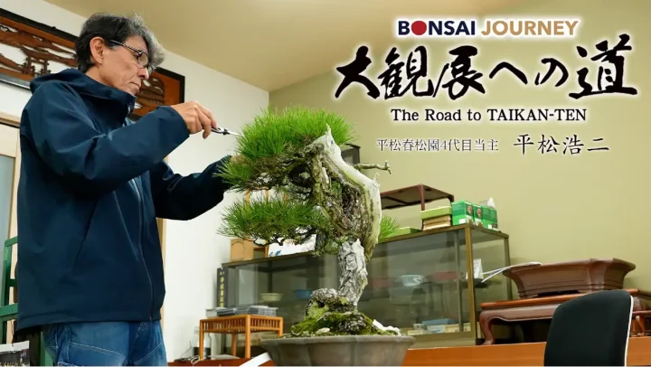 大観展への道